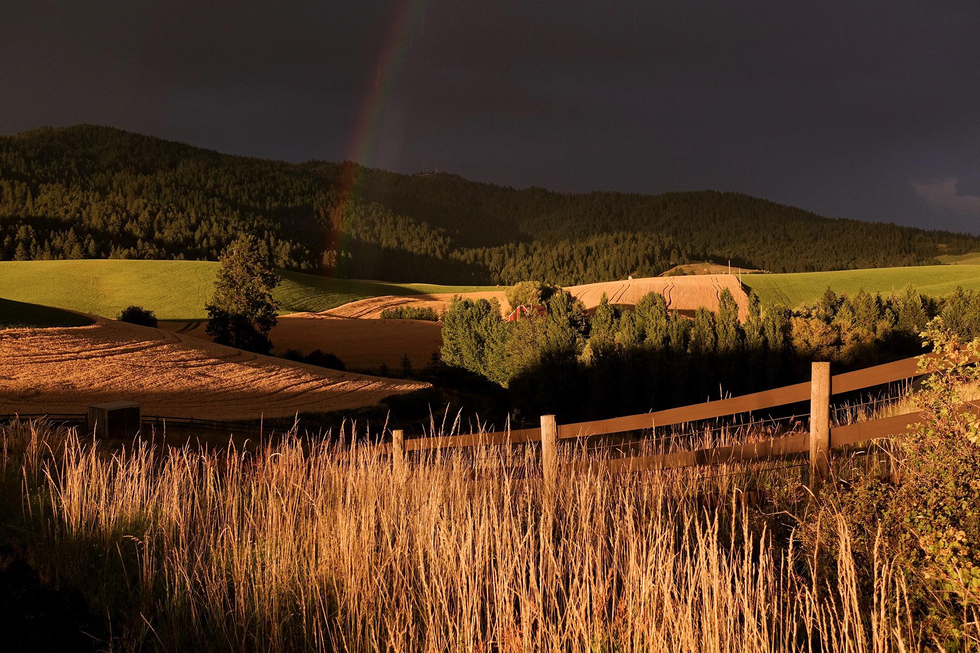 Rainbow over a field on the Palouse