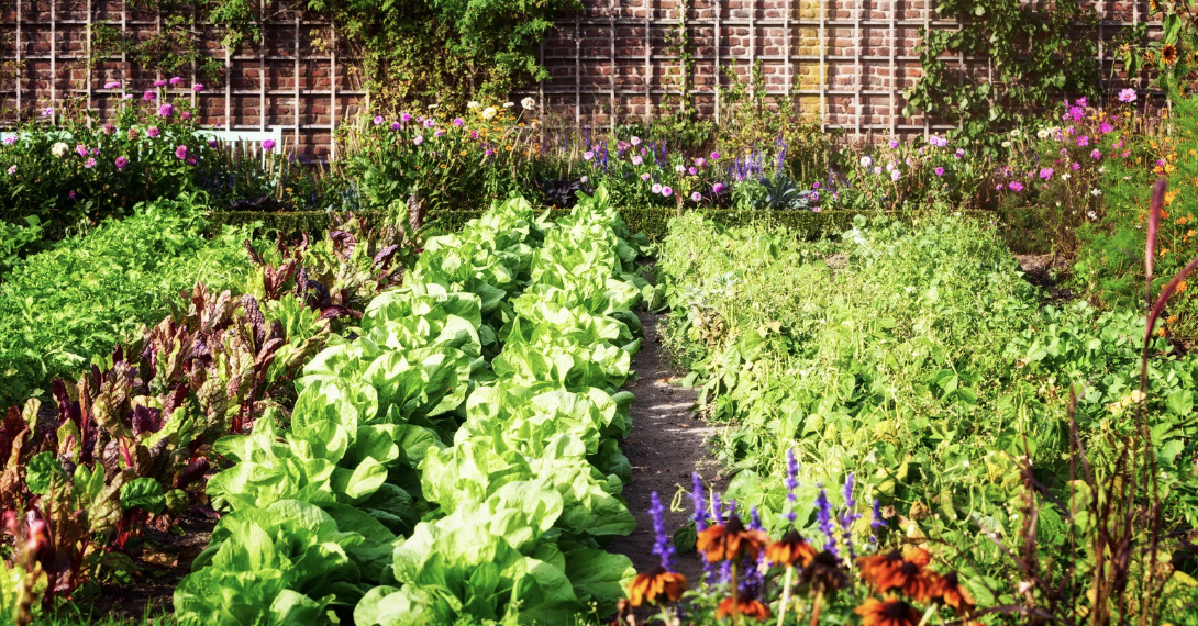 Linda Eastman, Passionate Gardener, Presents: "Living Soil vs Dead Dirt